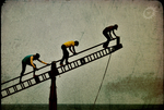 human_collective