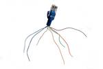 Raíces de la Universidad